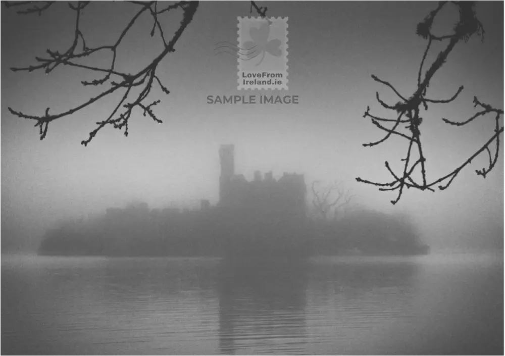 Castle Island Fog Co. Roscommon By David Smith Print-On-Demand Postcard