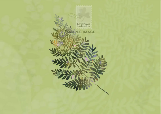 Fern’s Dance: A Symphony Of Green By Shanon O’bracken Print-On-Demand Postcard