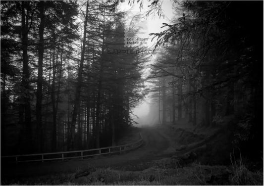 Misty forest mountain path by Bob Tait Print on demand postcard