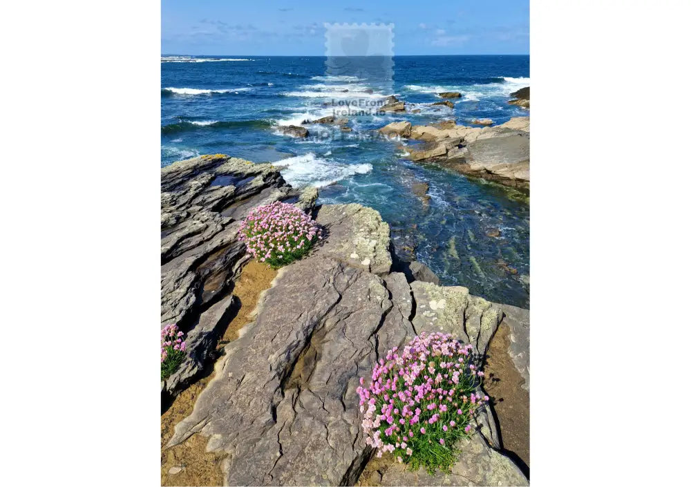 Sea Trift Spanish Point Co.clare By Liam Mcnamara Print-On-Demand Postcard